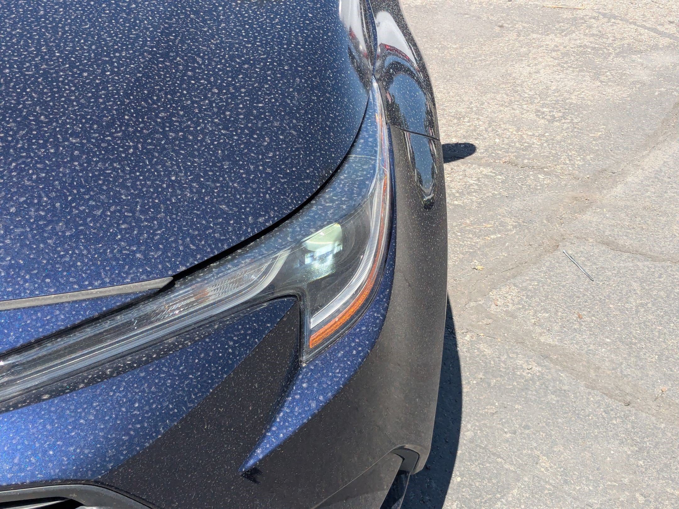 Used 2024 Toyota Corolla LE FWD image 13
