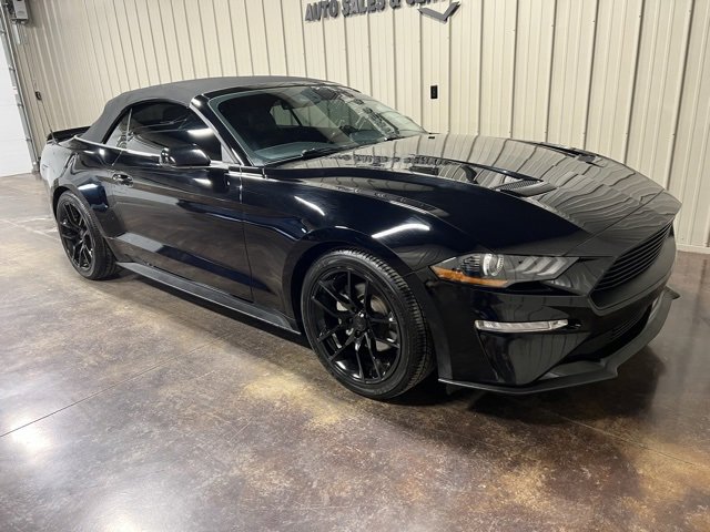 Used 2019 Ford Mustang Premium w/ Equipment Group 201A image 7