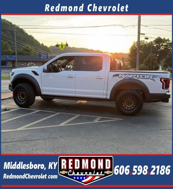 Used 2018 Ford F150 Raptor w/ Equipment Group 802A Luxury AWD/4WD image 1
