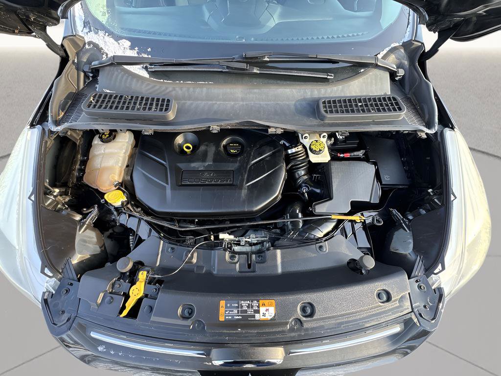 Used 2014 Ford Escape SE image 18