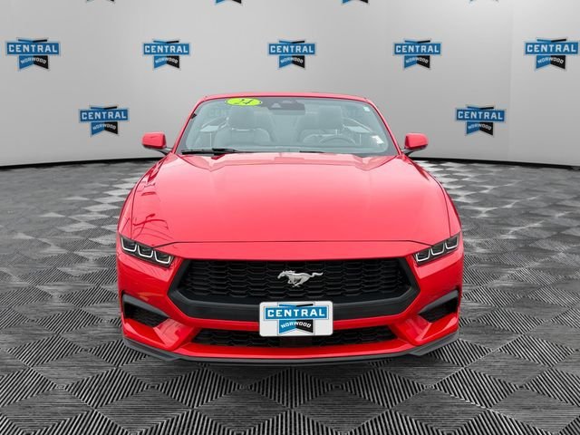Used 2024 Ford Mustang Premium w/ 2.3L High Performance Package RWD image 8