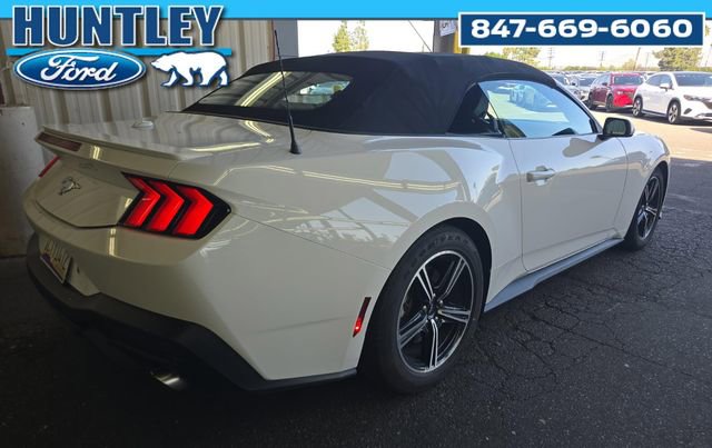 Used 2024 Ford Mustang Premium image 4