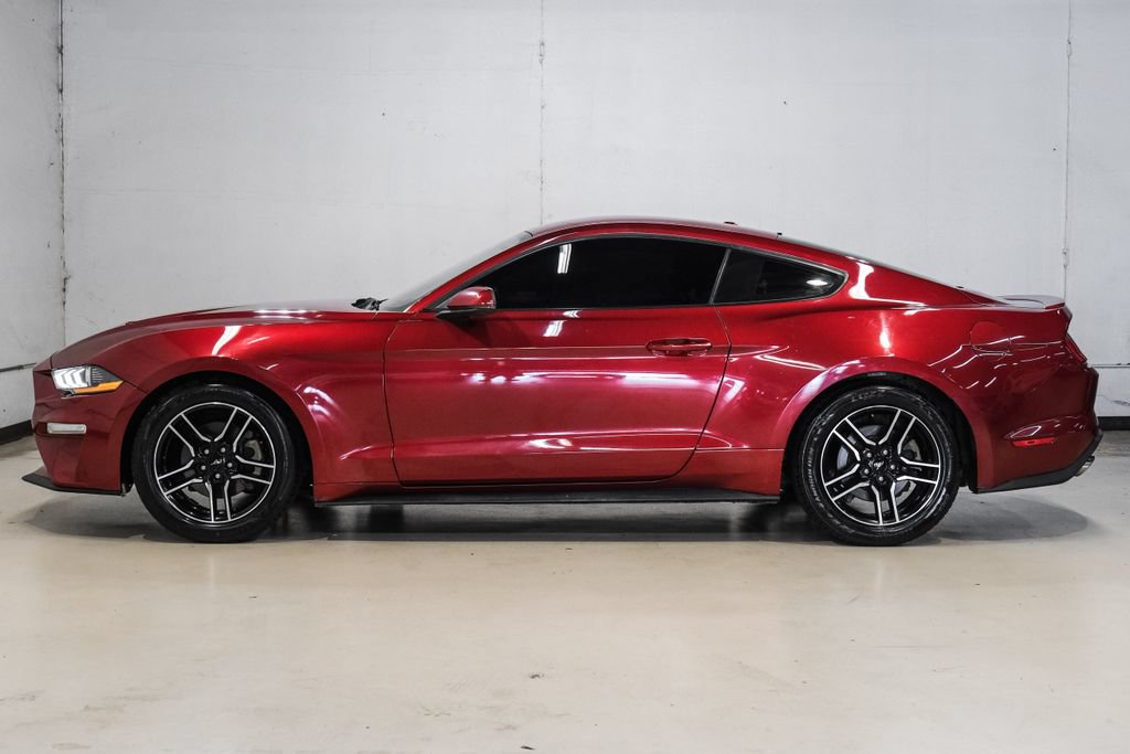 Used 2019 Ford Mustang Coupe RWD image 15