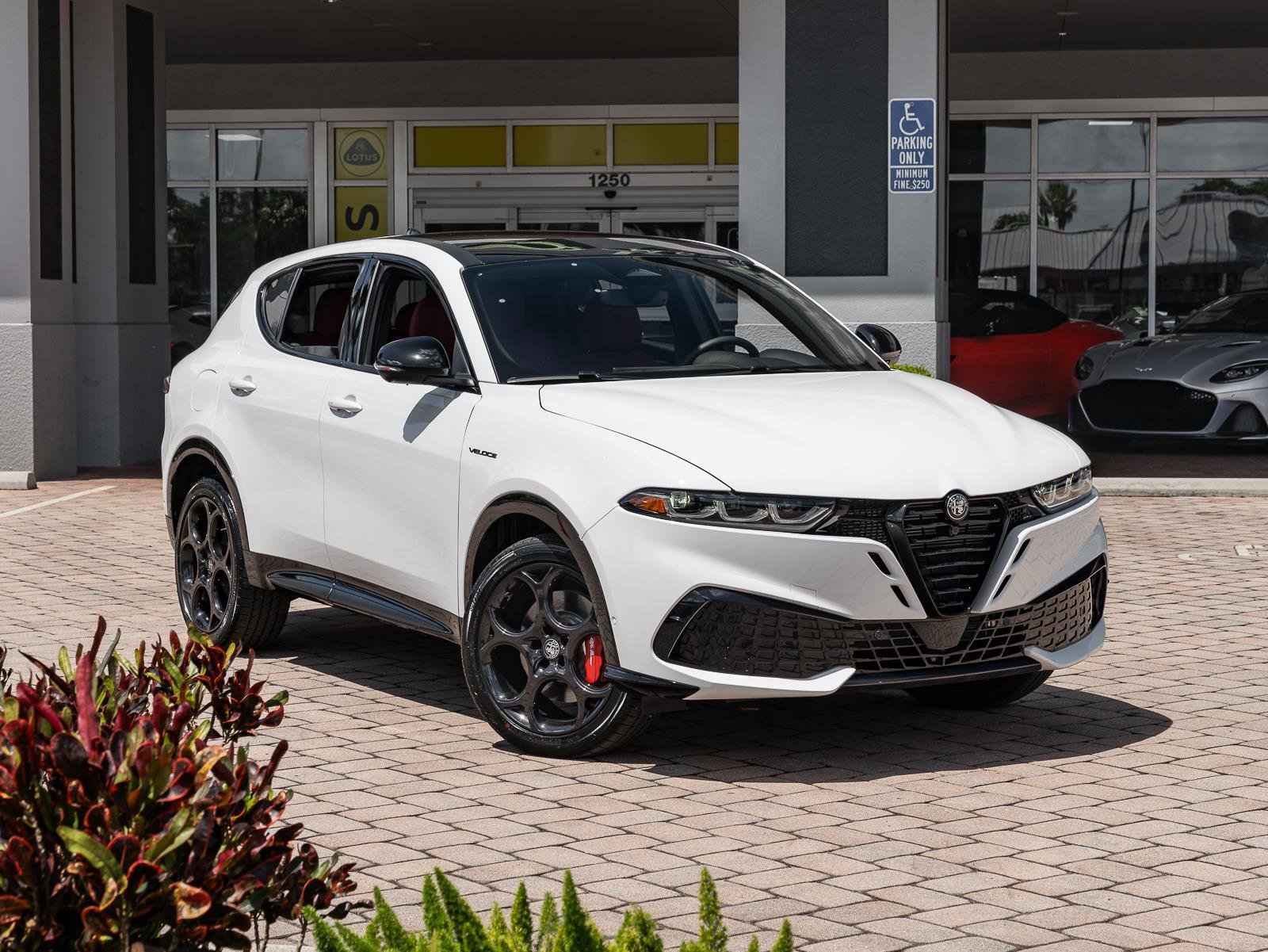 New 2026 Alfa Romeo Tonale Veloce w/ Quick Order Package 23H Volce image 3