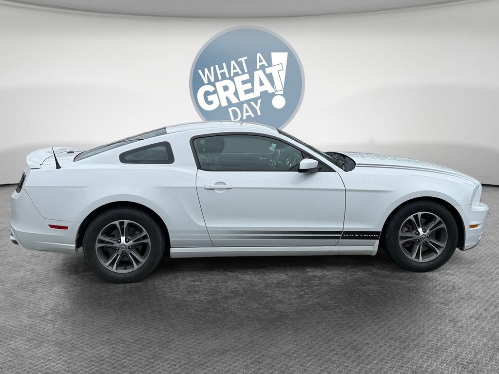 Used 2014 Ford Mustang Premium w/ Equipment Group 201A RWD image 2