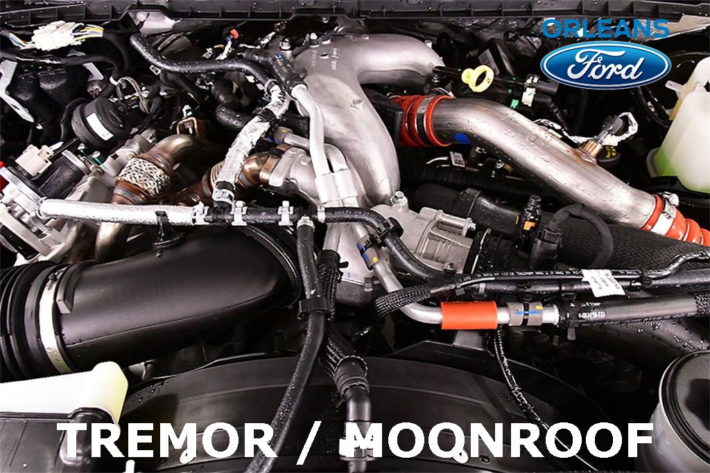 Used 2025 Ford F250 XLT w/ Black Appearance Package image 31