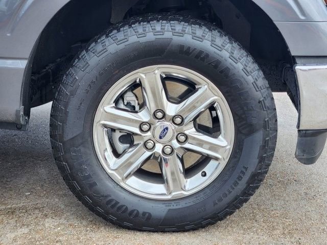 Used 2025 Ford F150 XLT w/ Equipment Group 301A Standard AWD/4WD image 10