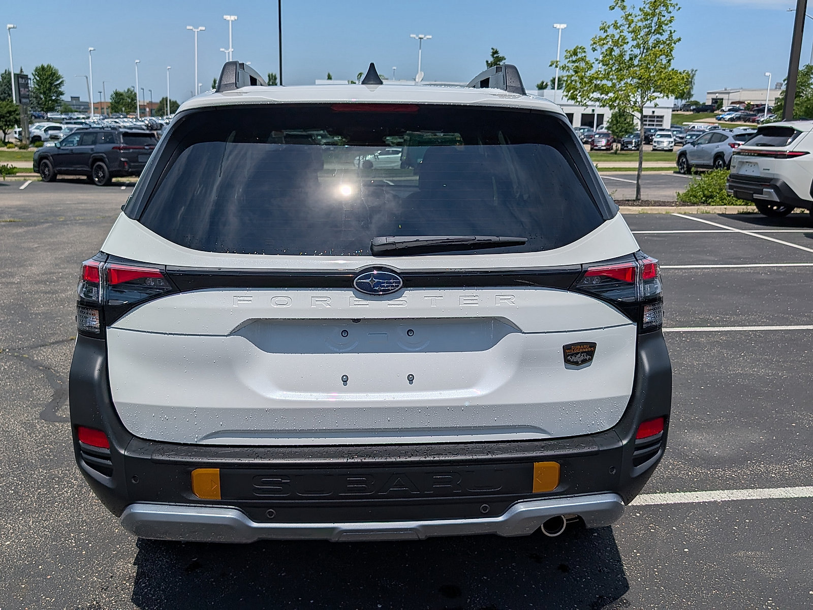 New 2026 Subaru Forester Wilderness AWD/4WD image 3