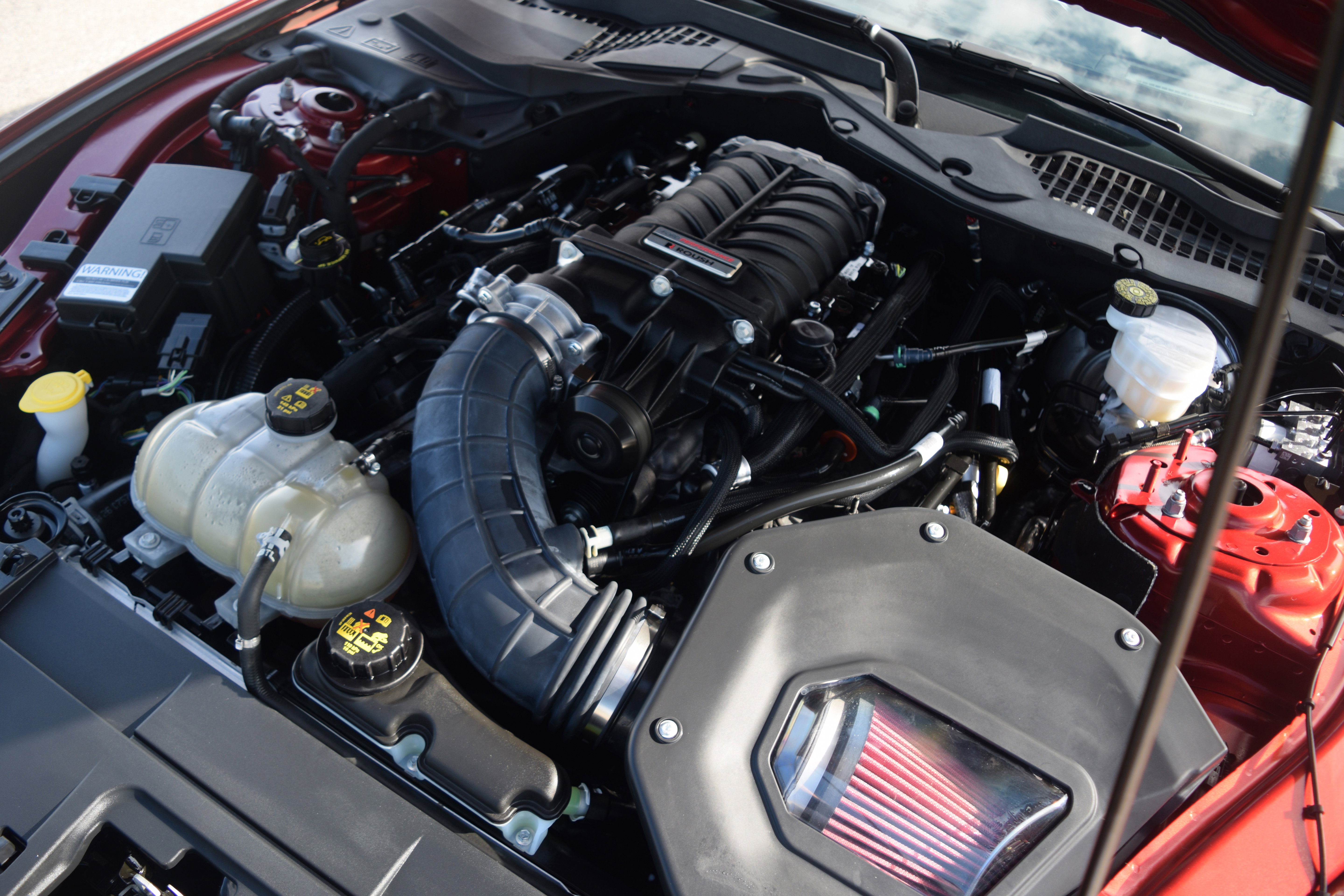 Used 2019 Ford Mustang GT w/ Equipment Group 301A image 25