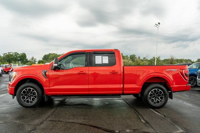 Used 2021 Ford F150 XLT w/ Equipment Group 302A High AWD/4WD image 9