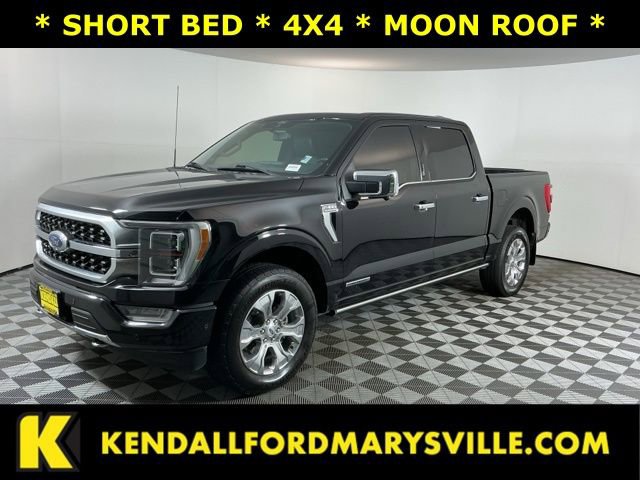 Used 2022 Ford F150 Platinum AWD/4WD video 1
