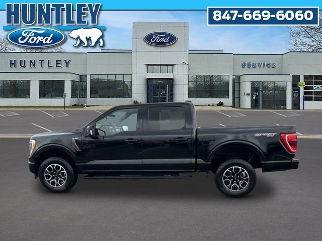 Used 2023 Ford F150 XLT w/ Equipment Group 302A High image 7
