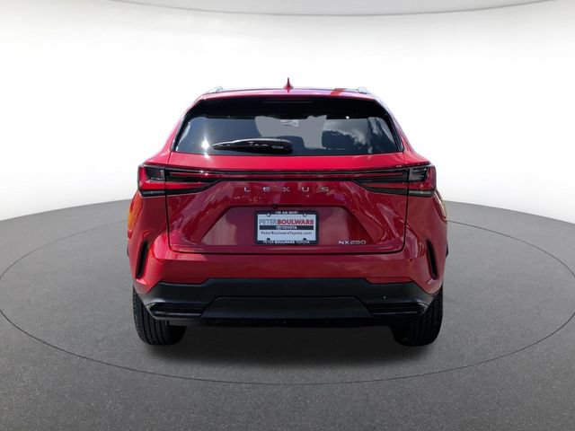 Used 2024 Lexus NX 250 FWD image 5
