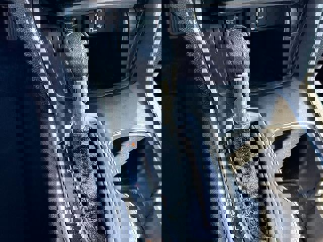 Used 2019 Honda Accord EX image 16