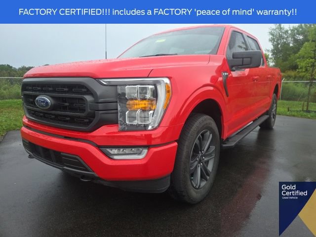 Certified 2023 Ford F150 XLT w/ Equipment Group 302A High AWD/4WD video 2