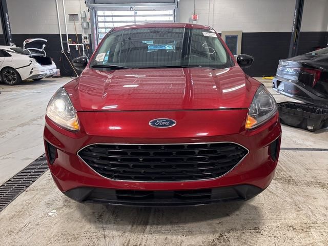 Used 2021 Ford Escape SE w/ SE Sport Appearance Package image 2