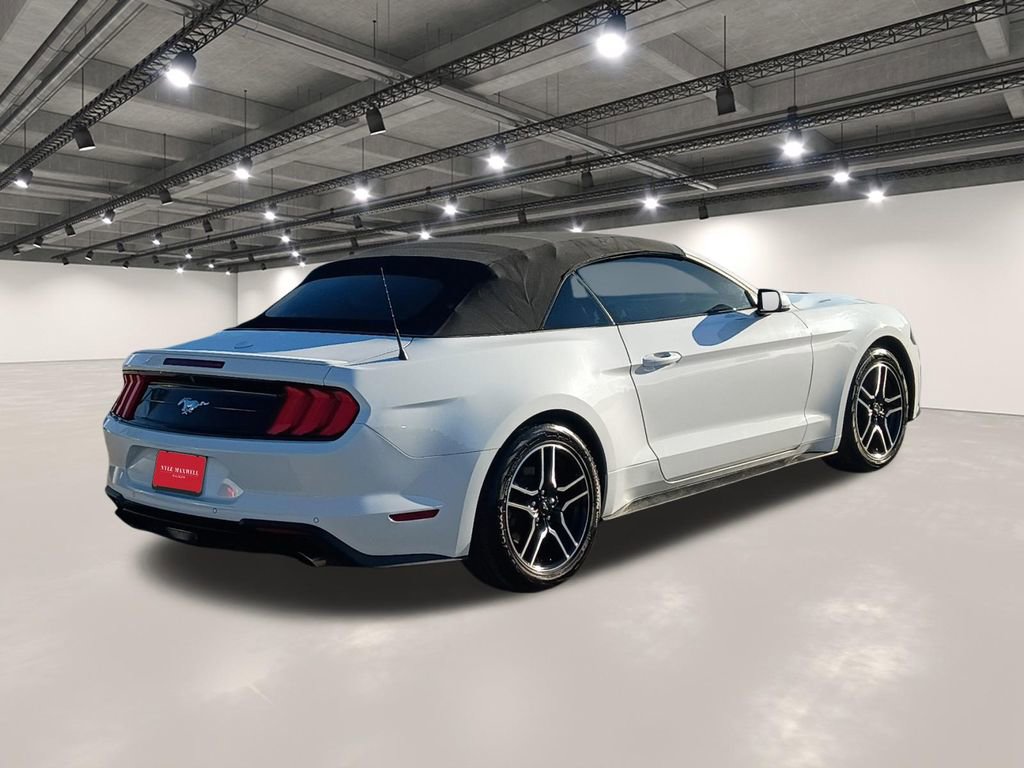 Used 2022 Ford Mustang Premium image 16