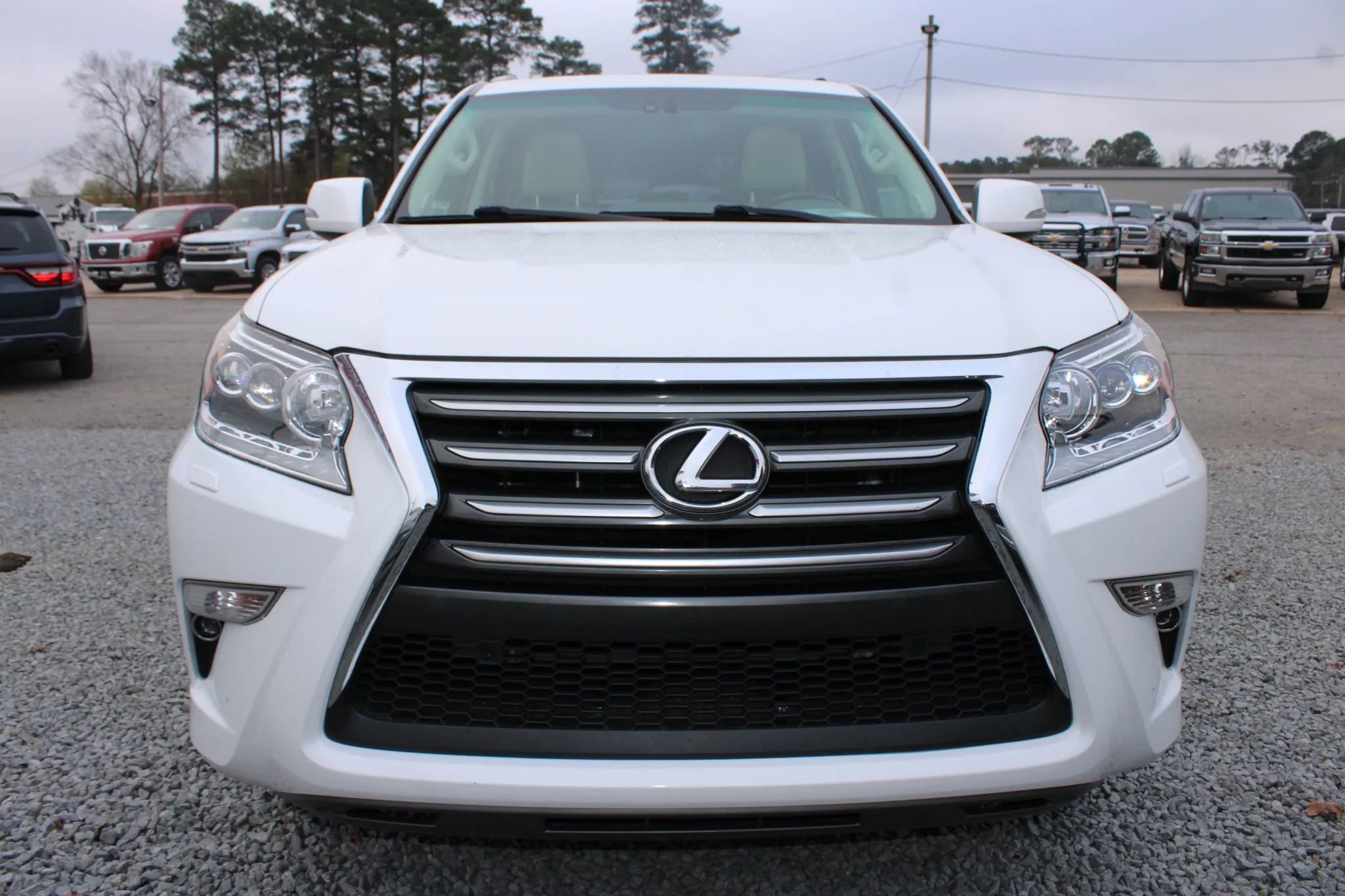Used 2019 Lexus GX 460 Premium w/ Premium Package image 5