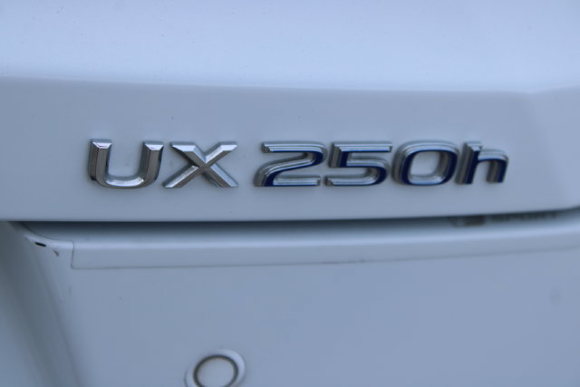 Used 2020 Lexus UX 250h F Sport w/ F Sport Premium Package AWD/4WD image 6