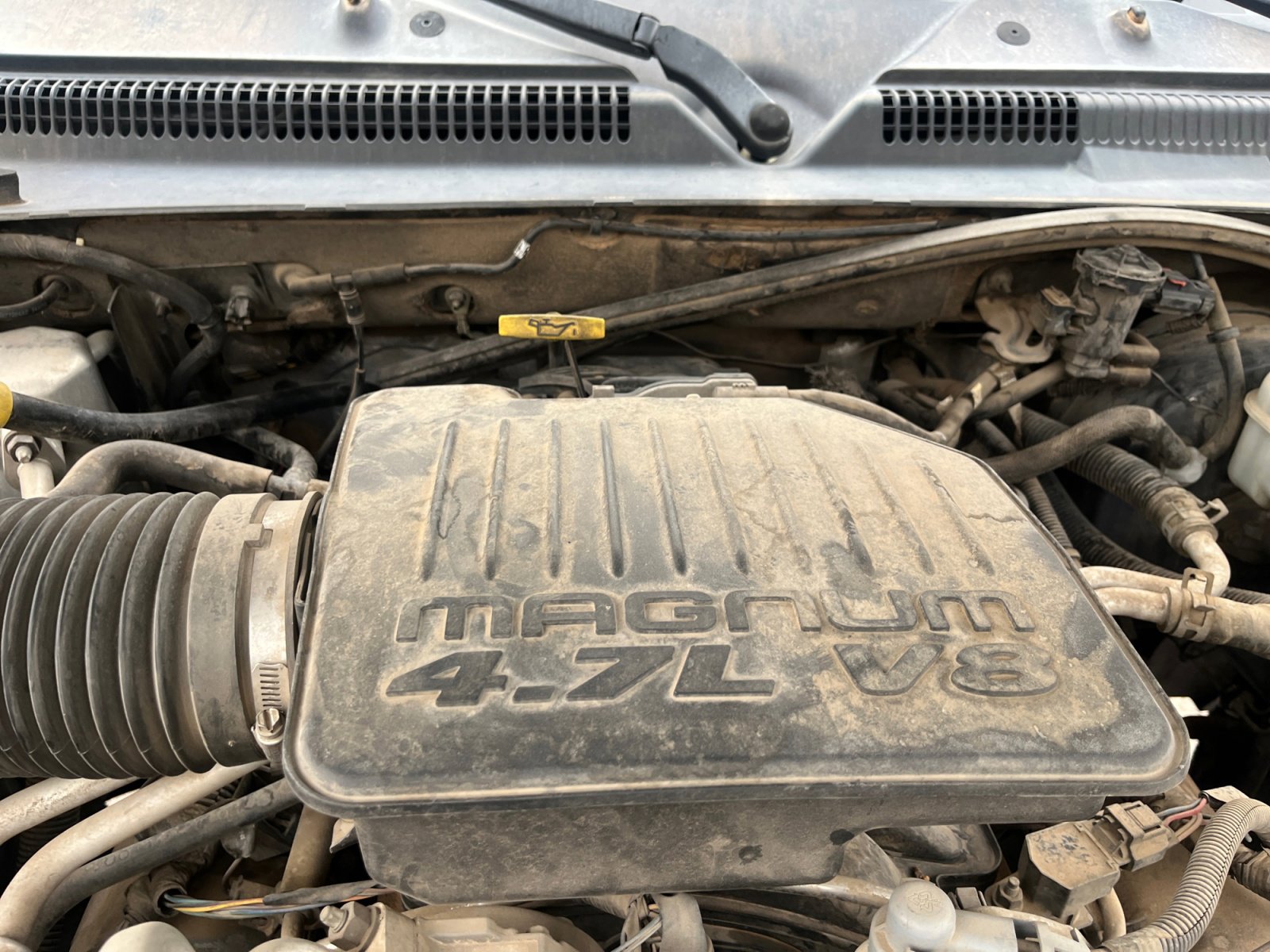 Used 2005 Dodge Dakota SLT image 22