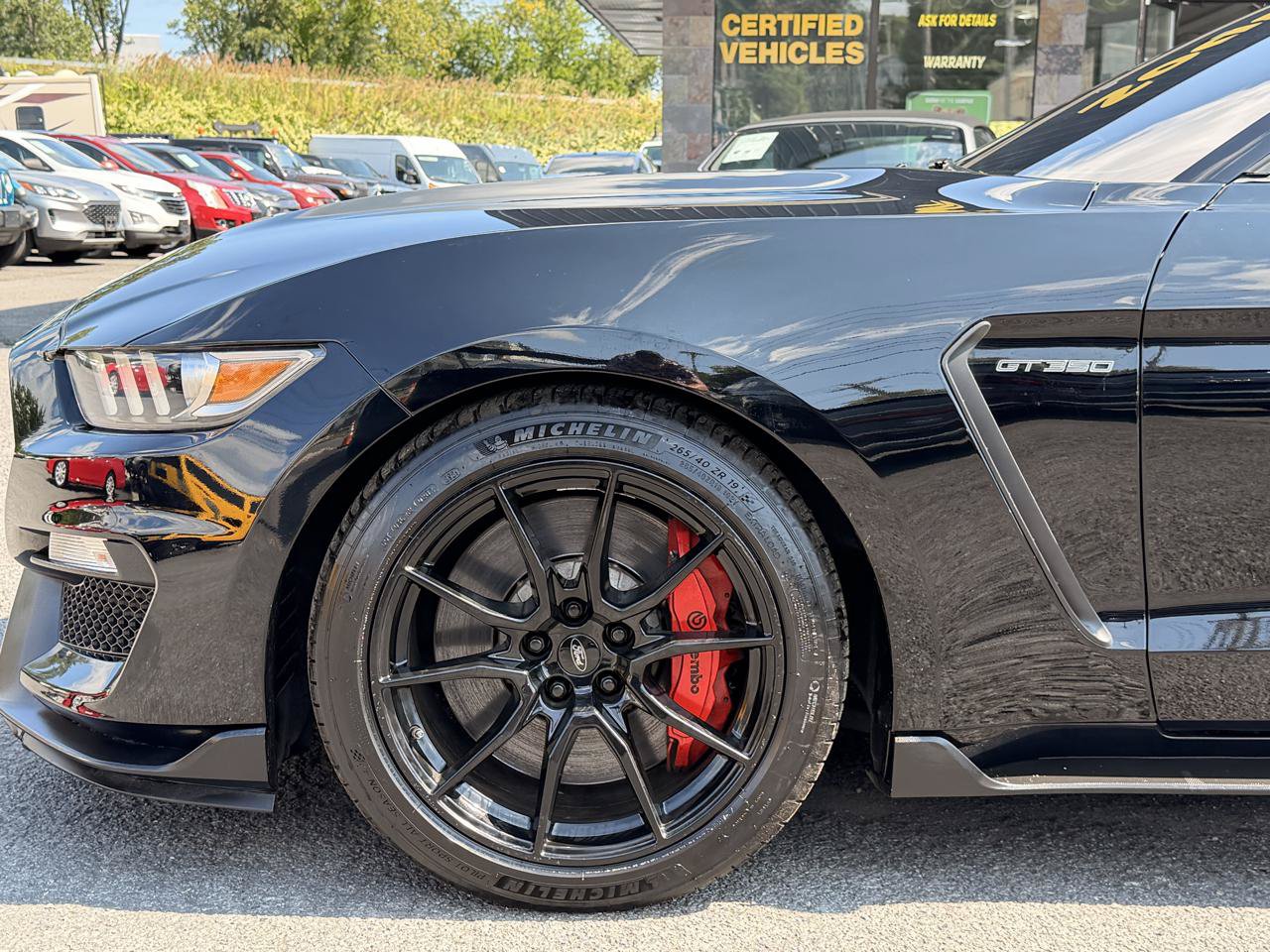 Used 2019 Ford Mustang Shelby GT350 w/ Technology Package RWD image 10