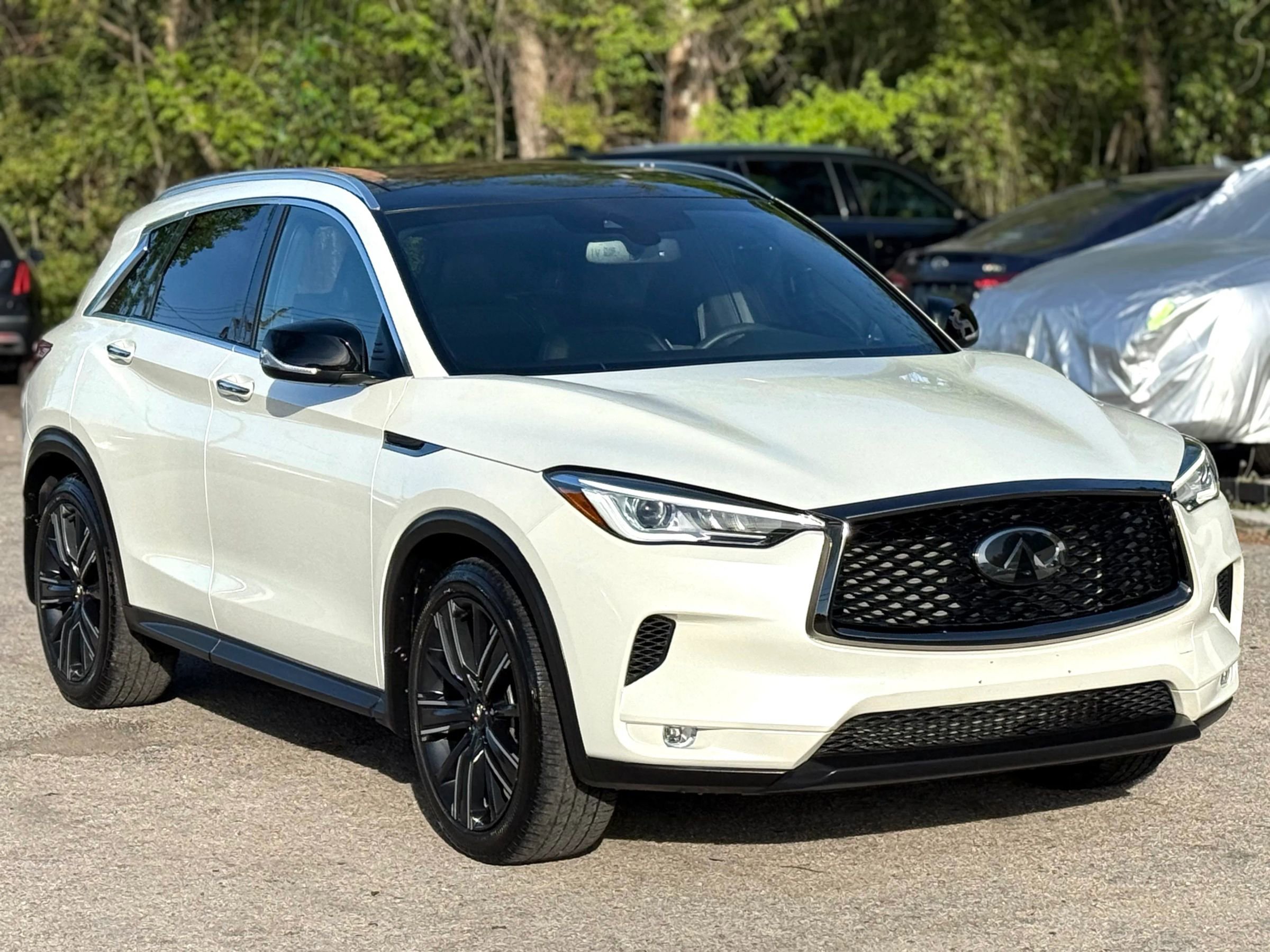 Used 2021 INFINITI QX50 Luxe w/ Appearance Package image 1