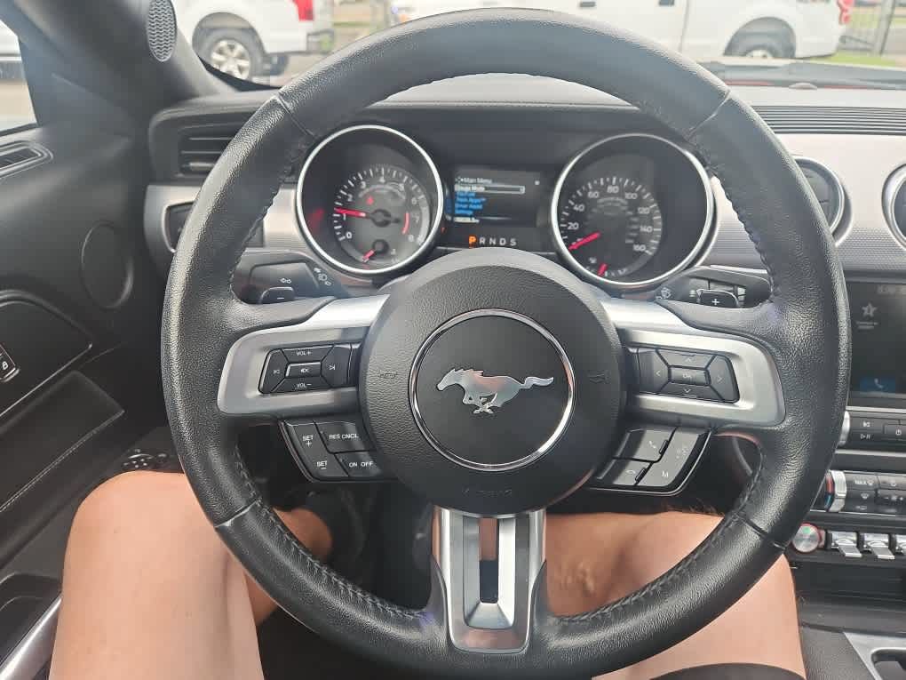 Used 2019 Ford Mustang Coupe w/ Equipment Group 101A RWD image 15