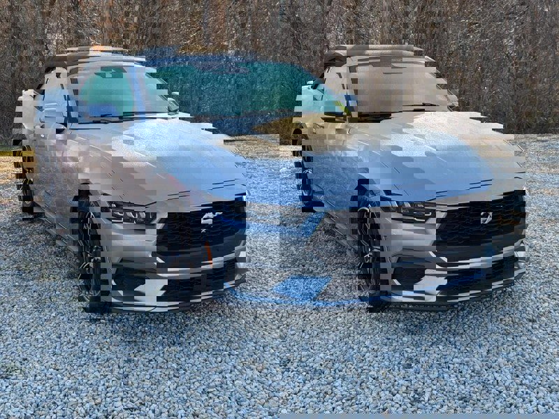 Used 2024 Ford Mustang Premium image 2