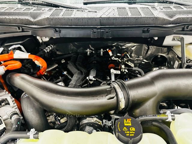 New 2025 Ford F150 XLT w/ Equipment Group 302A MID image 49