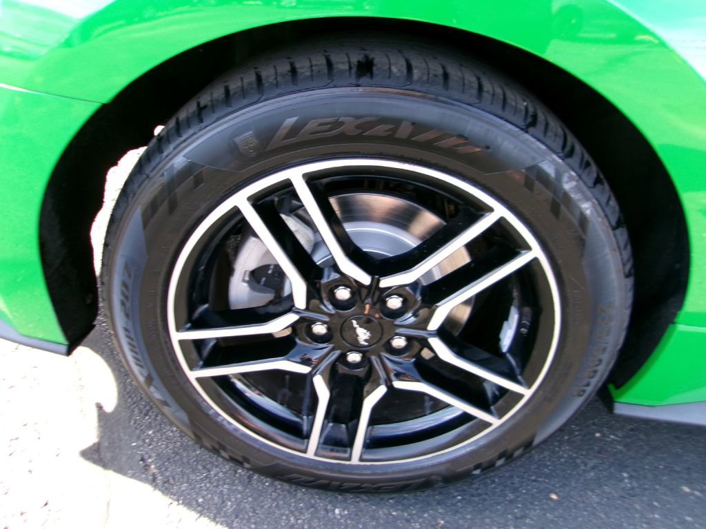 Used 2019 Ford Mustang Coupe image 14