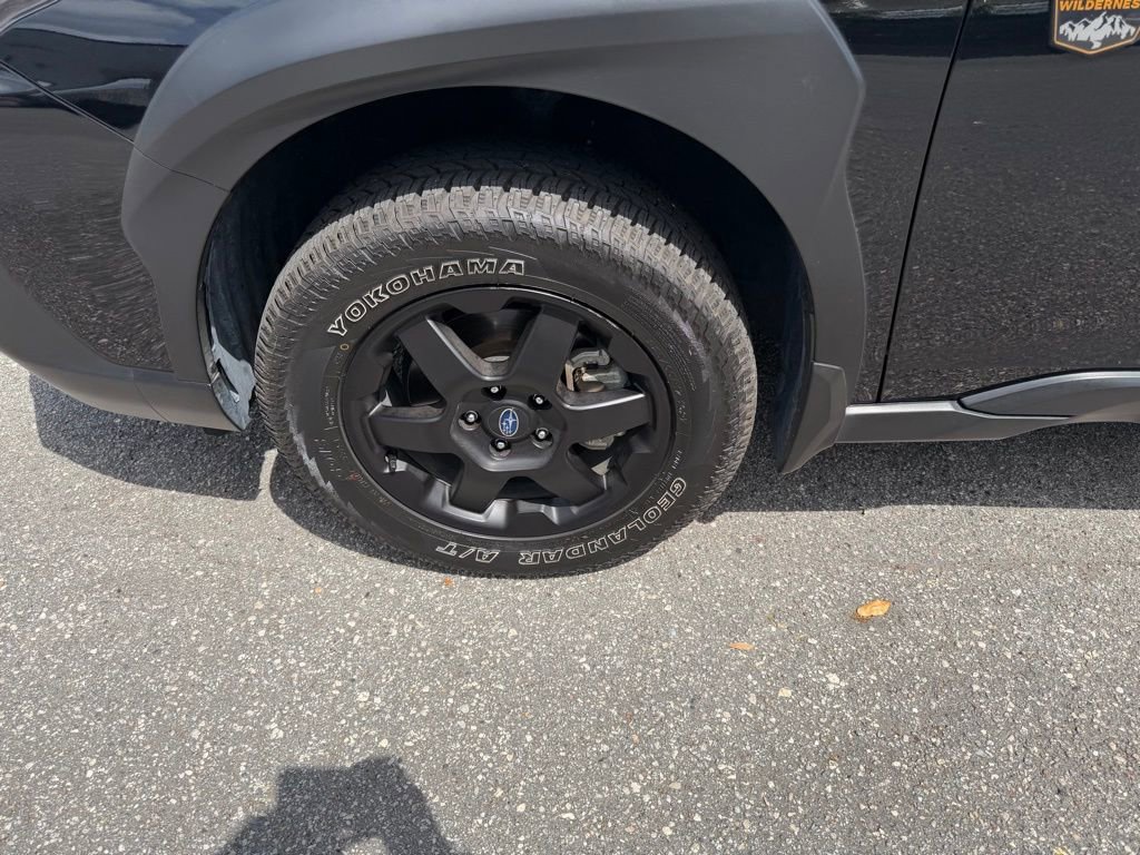 Used 2025 Subaru Outback Wilderness w/ Wilderness Package image 9