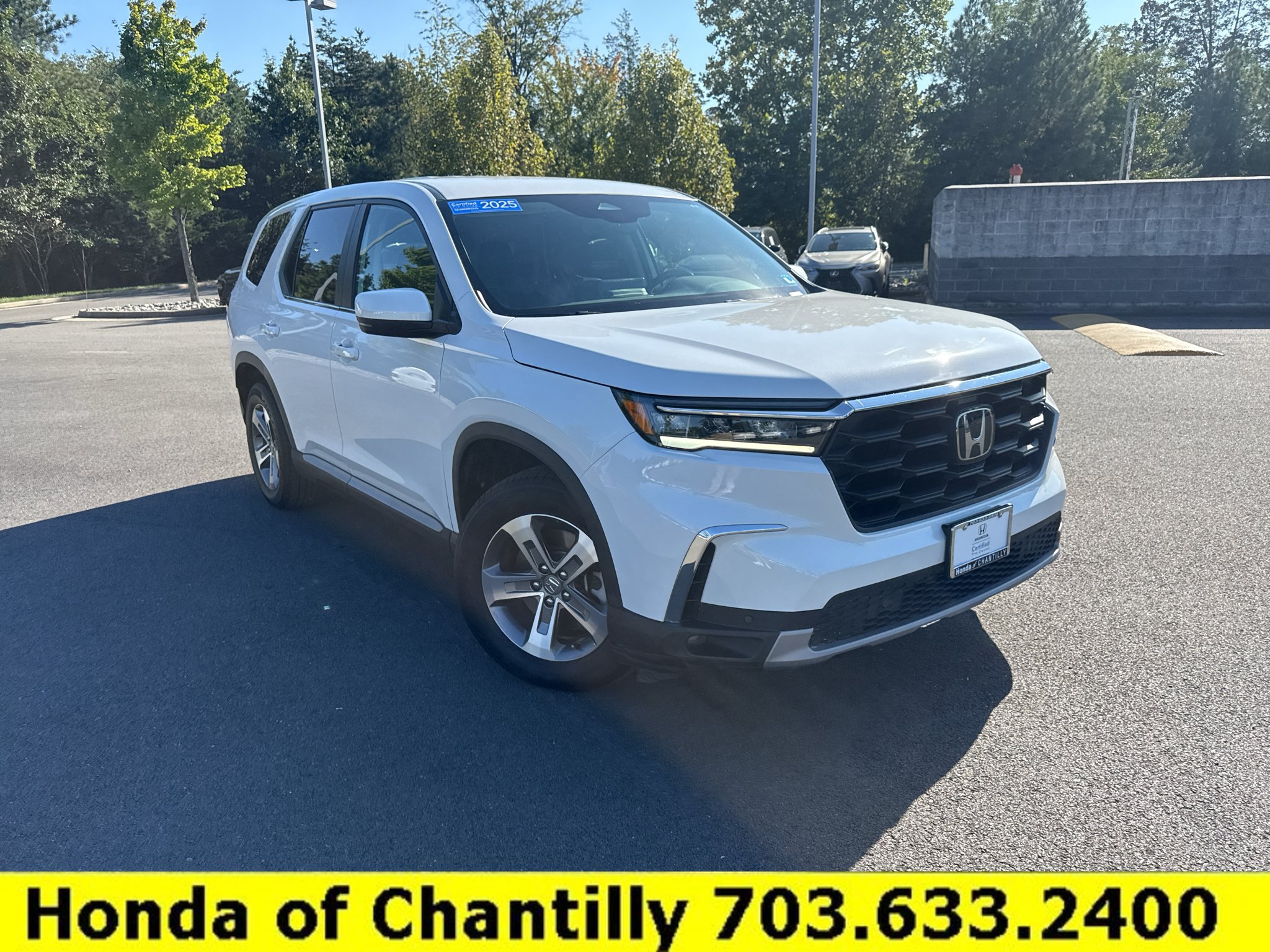 Used 2025 Honda Pilot EX-L