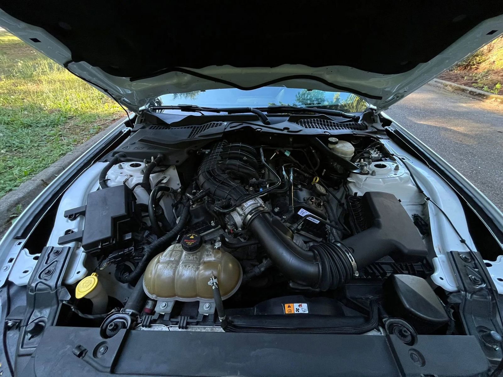 Used 2015 Ford Mustang Convertible w/ Equipment Group 051A image 19