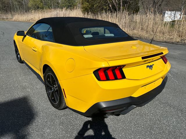 Used 2024 Ford Mustang Premium RWD image 4