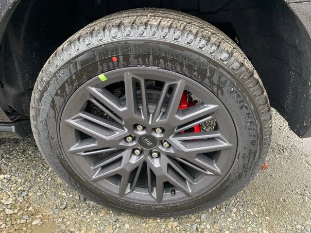 New 2025 Ford Expedition Platinum w/ Stealth Performance Package image 23