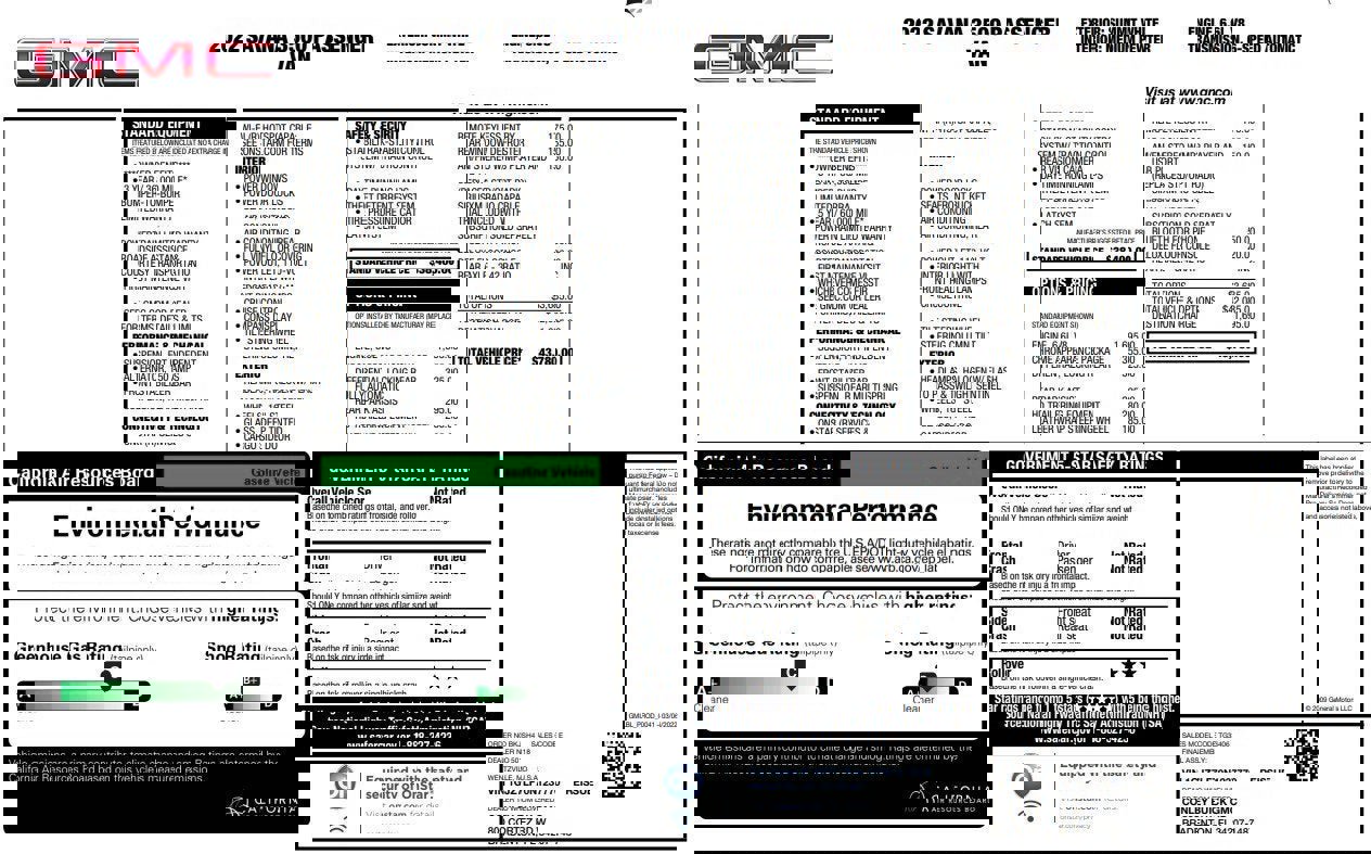 Used 2022 GMC Savana 3500 LS w/ Chrome Appearance Package image 3