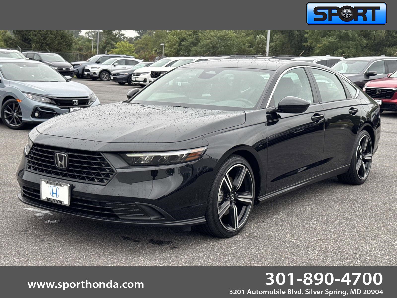 Certified 2024 Honda Accord Sport