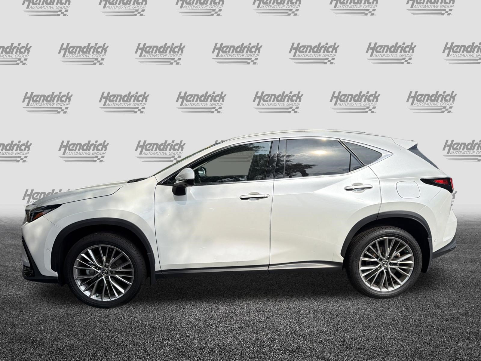 Certified 2024 Lexus NX 350h AWD w/ Vision Package image 6