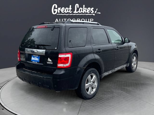 Used 2009 Ford Escape Limited FWD image 5