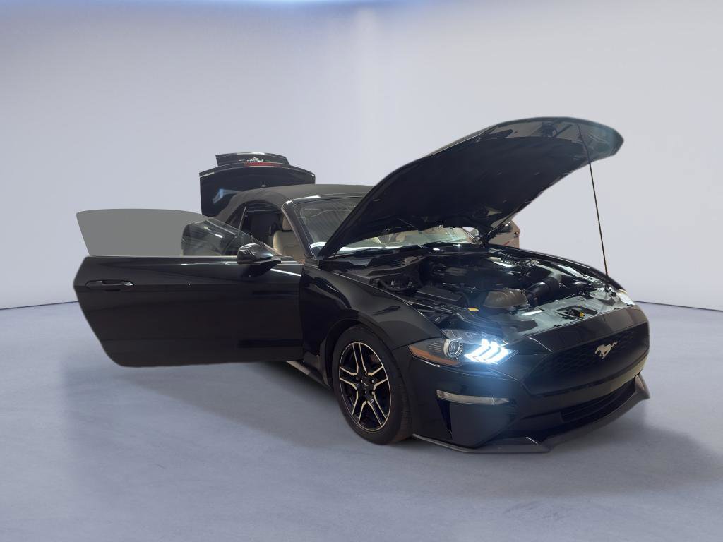 Used 2019 Ford Mustang Premium image 7