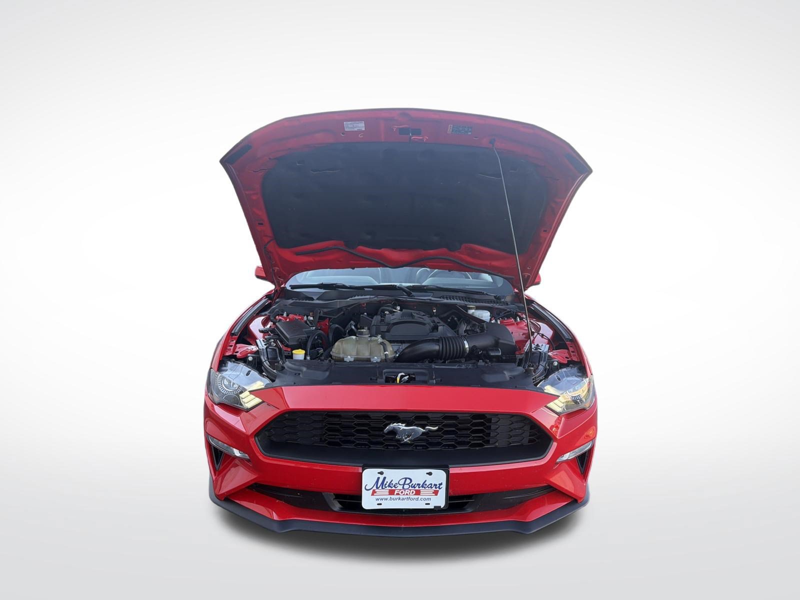 Used 2019 Ford Mustang Premium w/ Equipment Group 201A RWD image 58