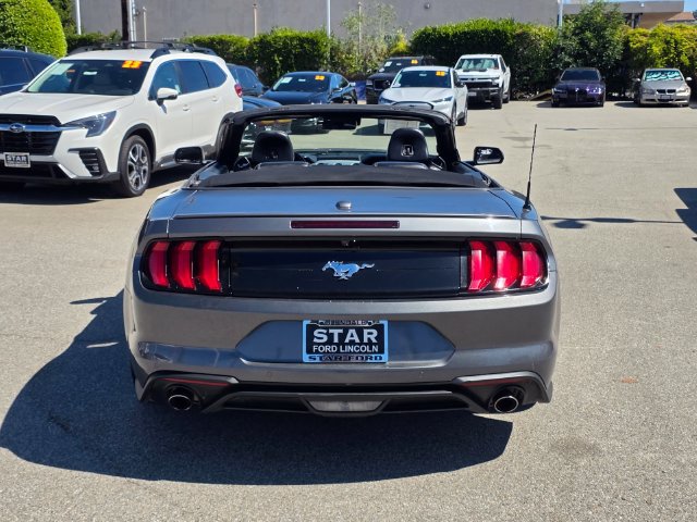 Used 2023 Ford Mustang Premium w/ Equipment Group 201A RWD image 5