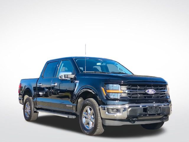 Used 2024 Ford F150 XLT w/ Equipment Group 302A MID