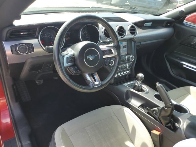 Used 2019 Ford Mustang GT w/ Equipment Group 301A image 10