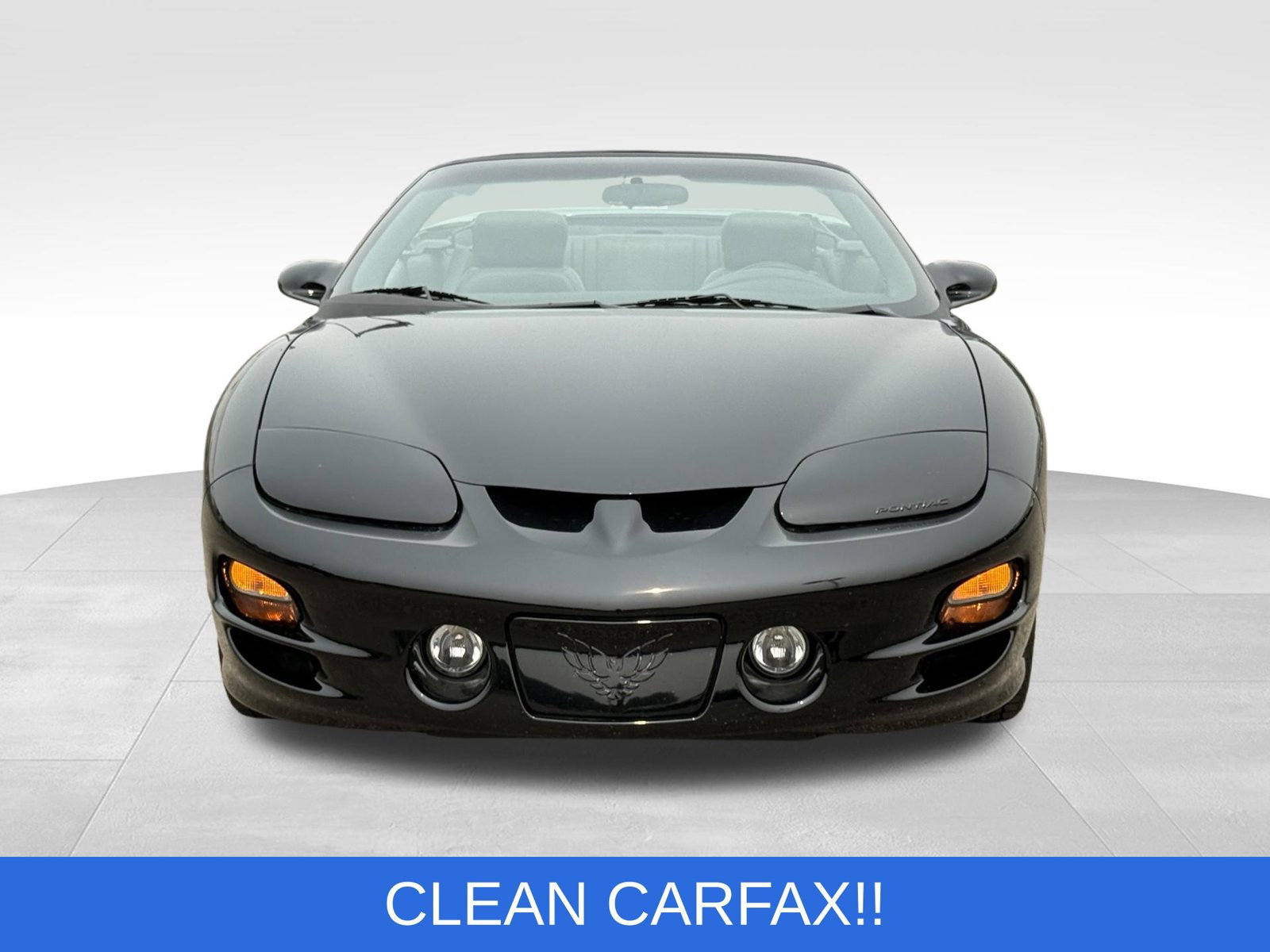 Used 2002 Pontiac Firebird Trans Am RWD image 13