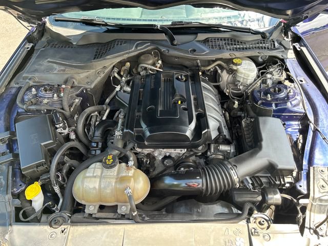 Used 2019 Ford Mustang Coupe w/ Equipment Group 101A RWD image 21
