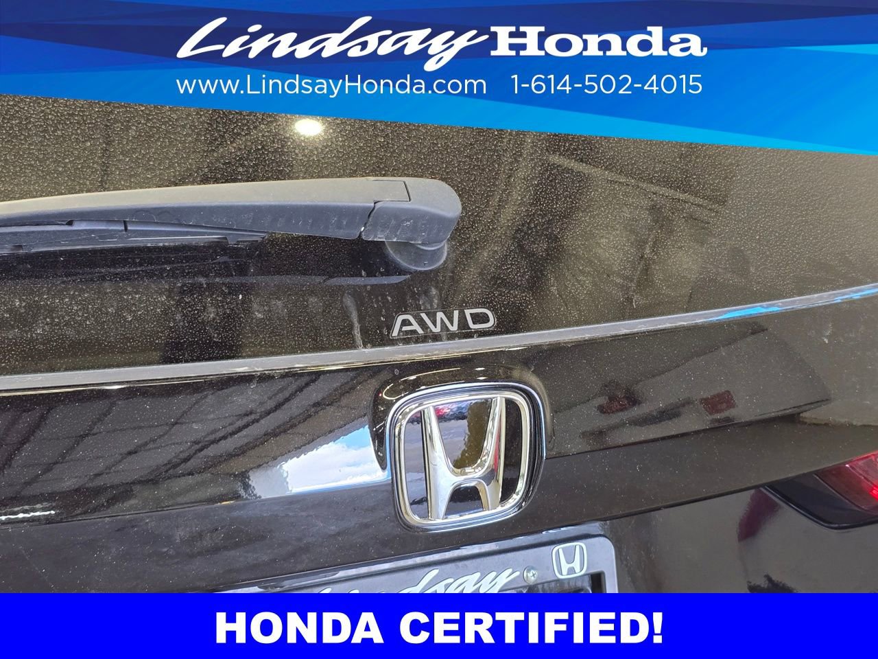Certified 2025 Honda CR-V Sport image 6