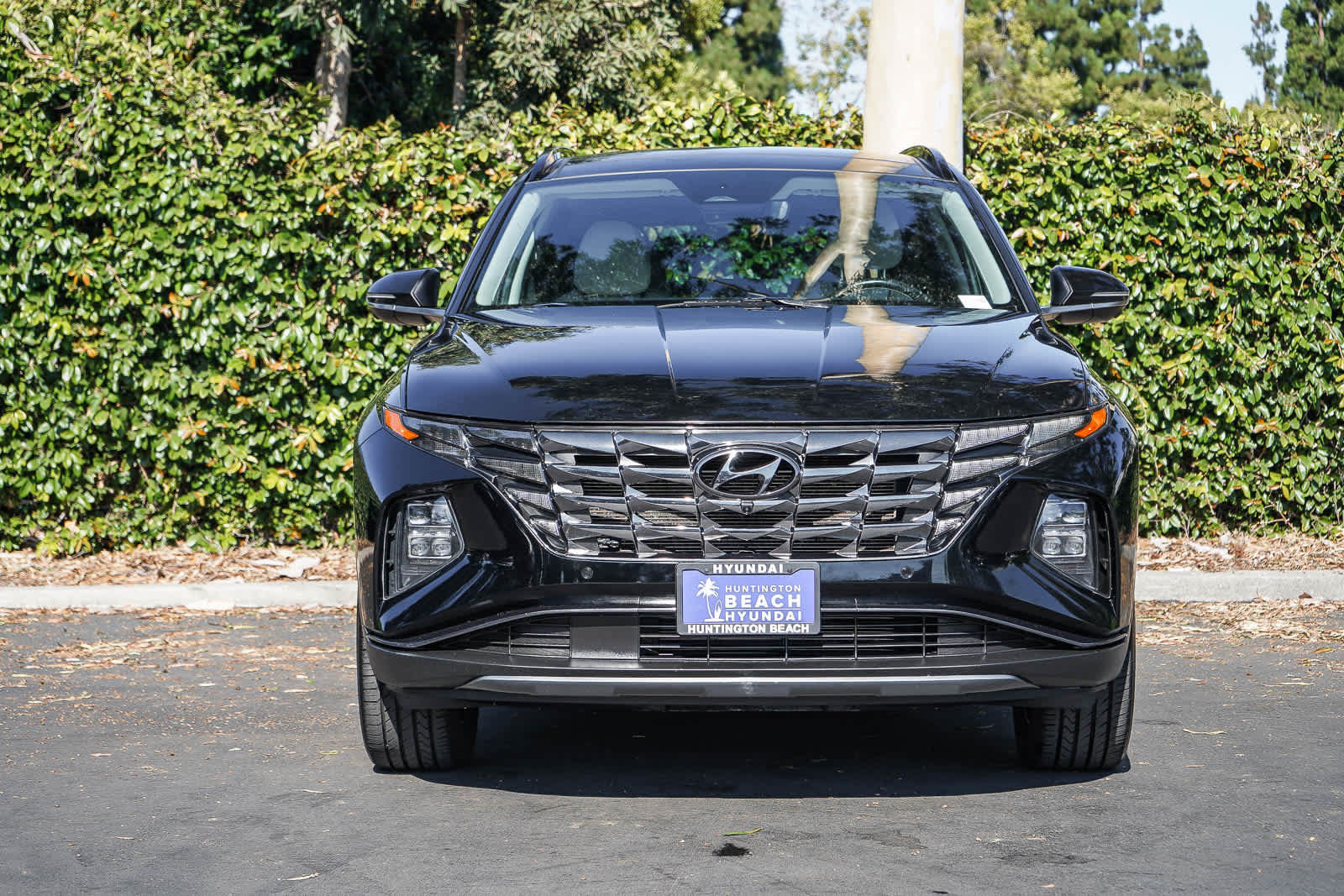 Used 2024 Hyundai Tucson Limited AWD/4WD image 2