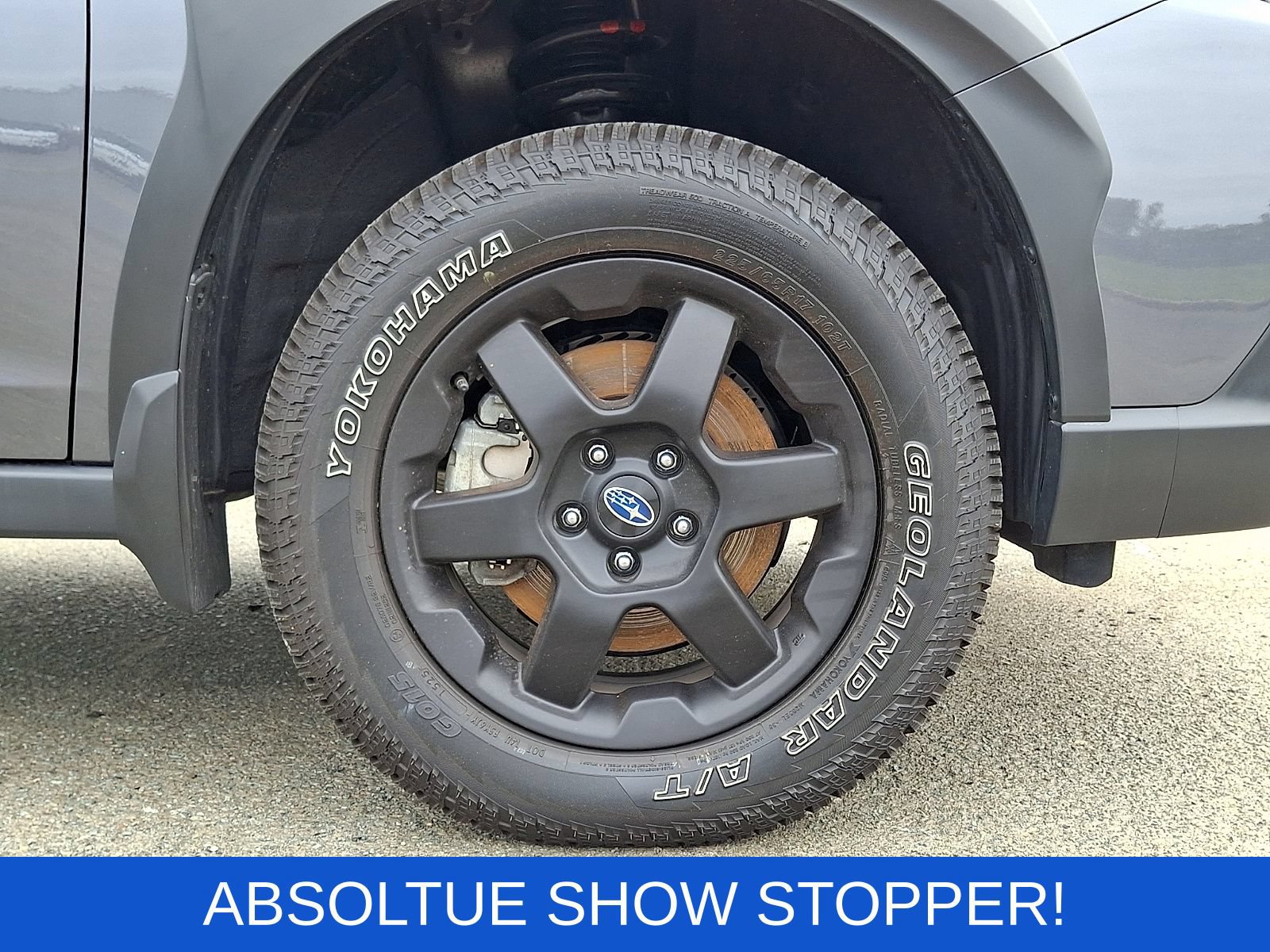 Used 2025 Subaru Outback Wilderness AWD/4WD image 8