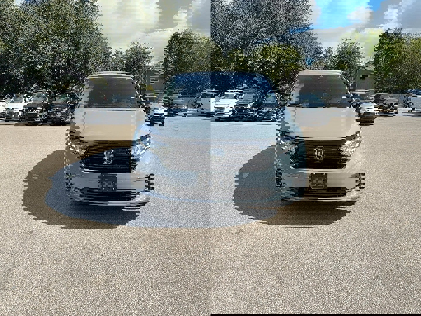 Used 2024 Honda Odyssey Sport image 8